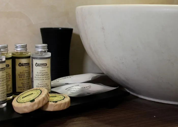 住宿加早餐酒店 帕塔蒂娜住宿加早餐旅馆 4*