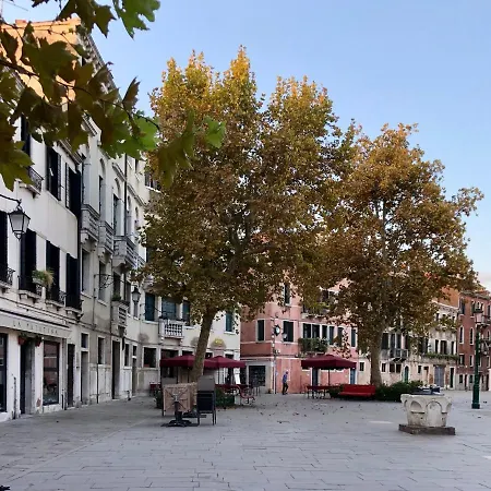 B＆b パタティーナ